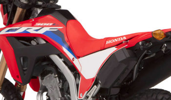 CRF300L lleno